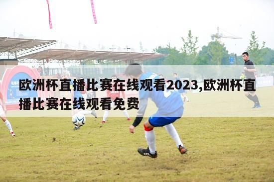 欧洲杯直播比赛在线观看2023,欧洲杯直播比赛在线观看免费